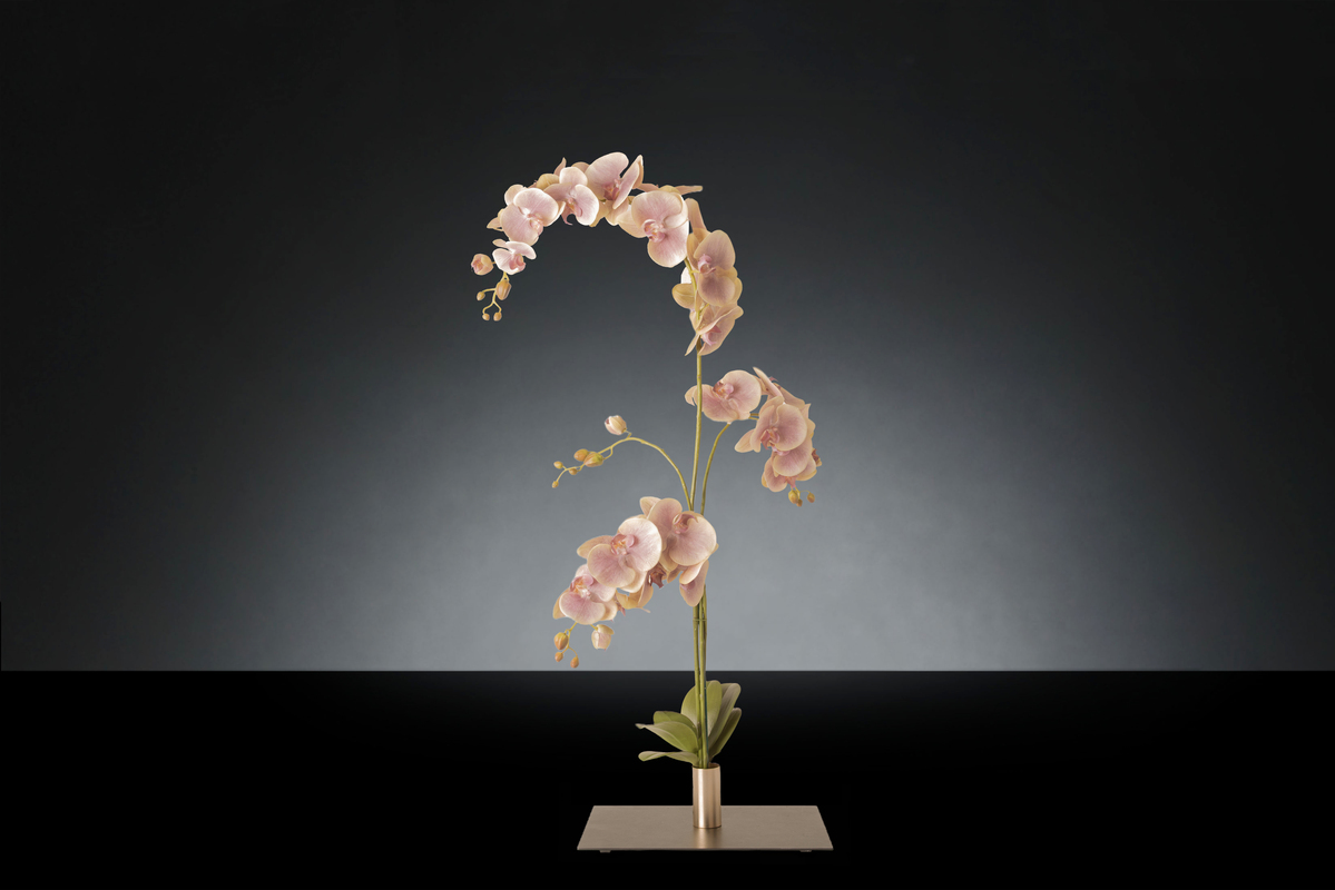1700221677-1142938.37 PINK ORCHID_2LOW